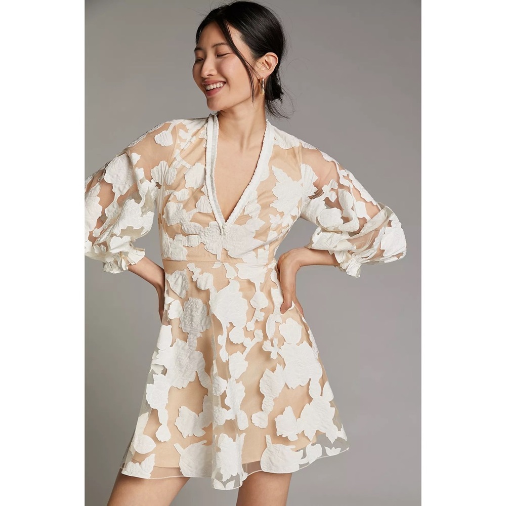 Anthropologie Loren Appliqued Tulle Mini Dress